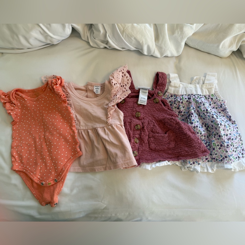 Floral and Pink Baby Dress/Onesie Bundle